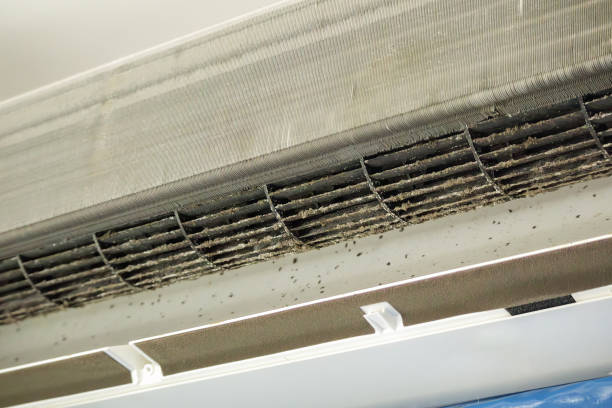 Best Emergency Air Duct Cleaning  in Long Beach, MD